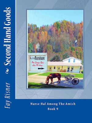 cover image of Second Hand Goods Nurse Hal Among the Amish series